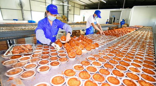 云南彌勒 特色手工紅糖生產(chǎn)忙，傳承美味與匠心